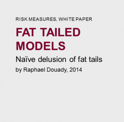 Fat  tailed  models